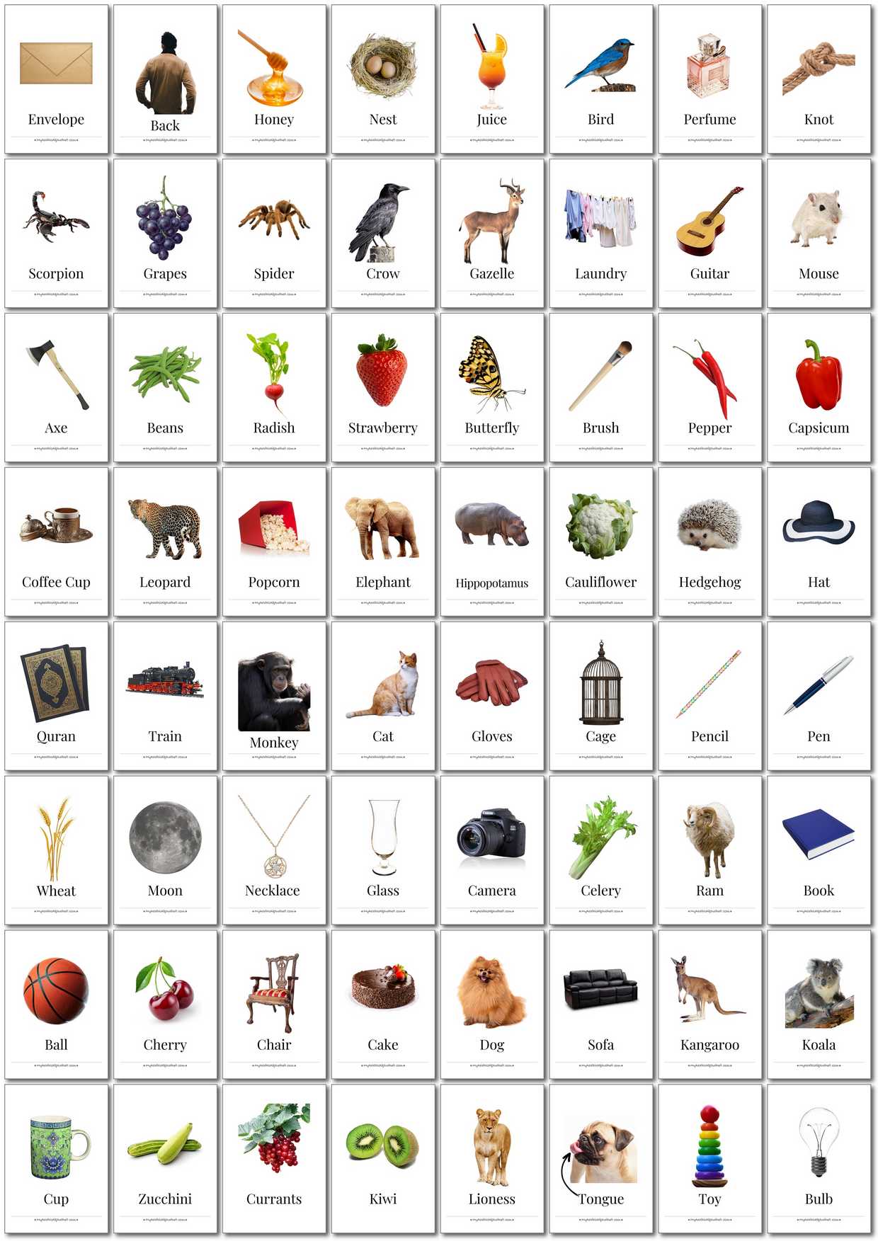 350 Printable English Flashcards - Digital Download