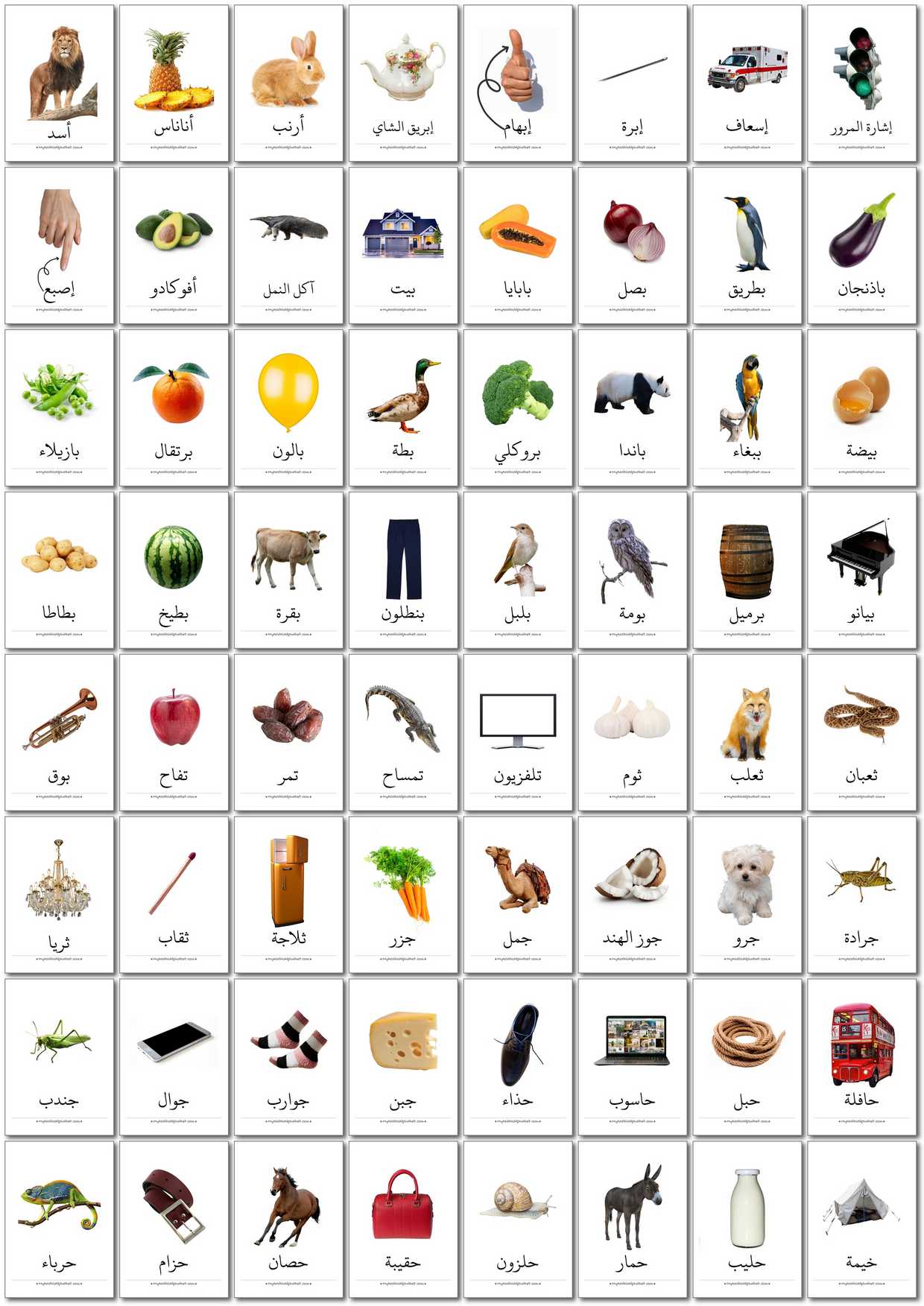 350 Printable Arabic Flashcards -  Digital Download