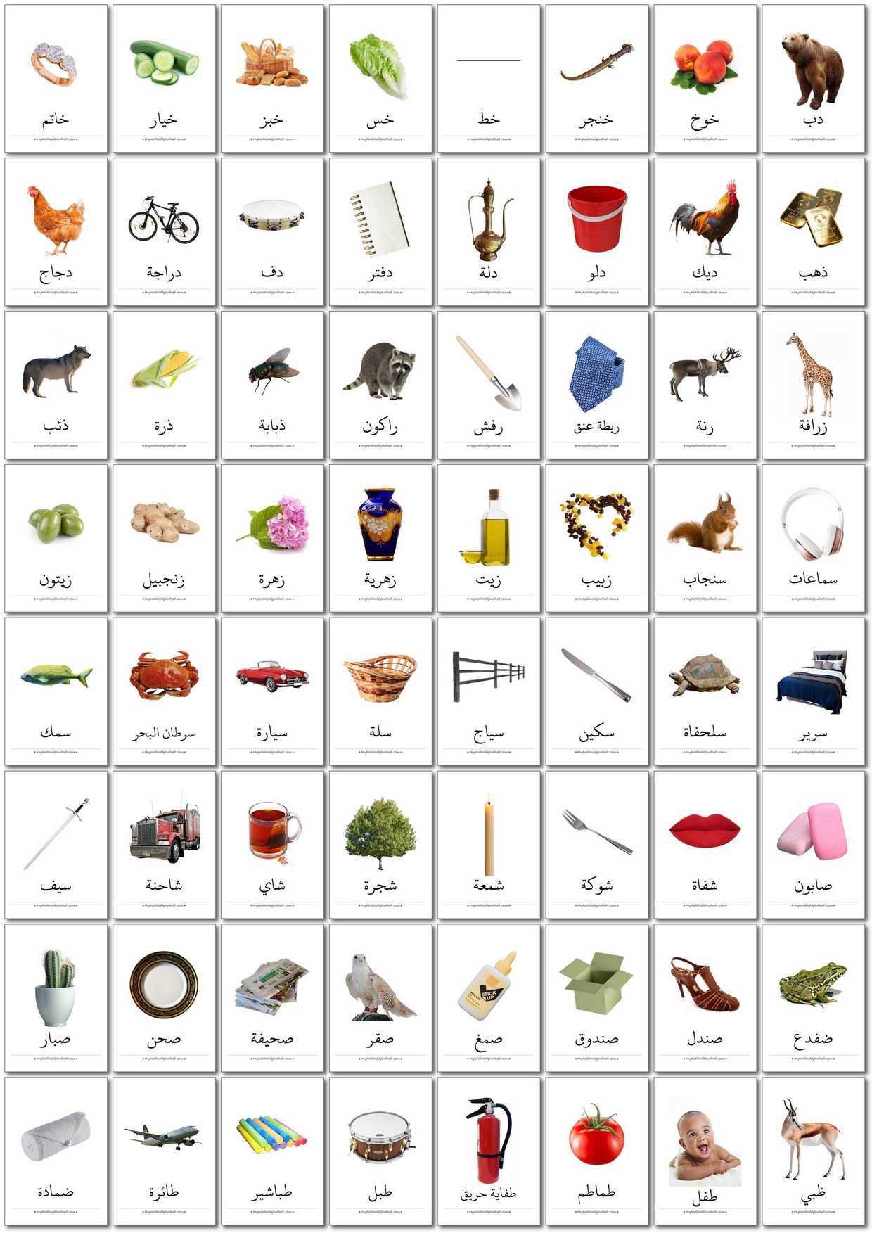 350 Printable Arabic Flashcards -  Digital Download