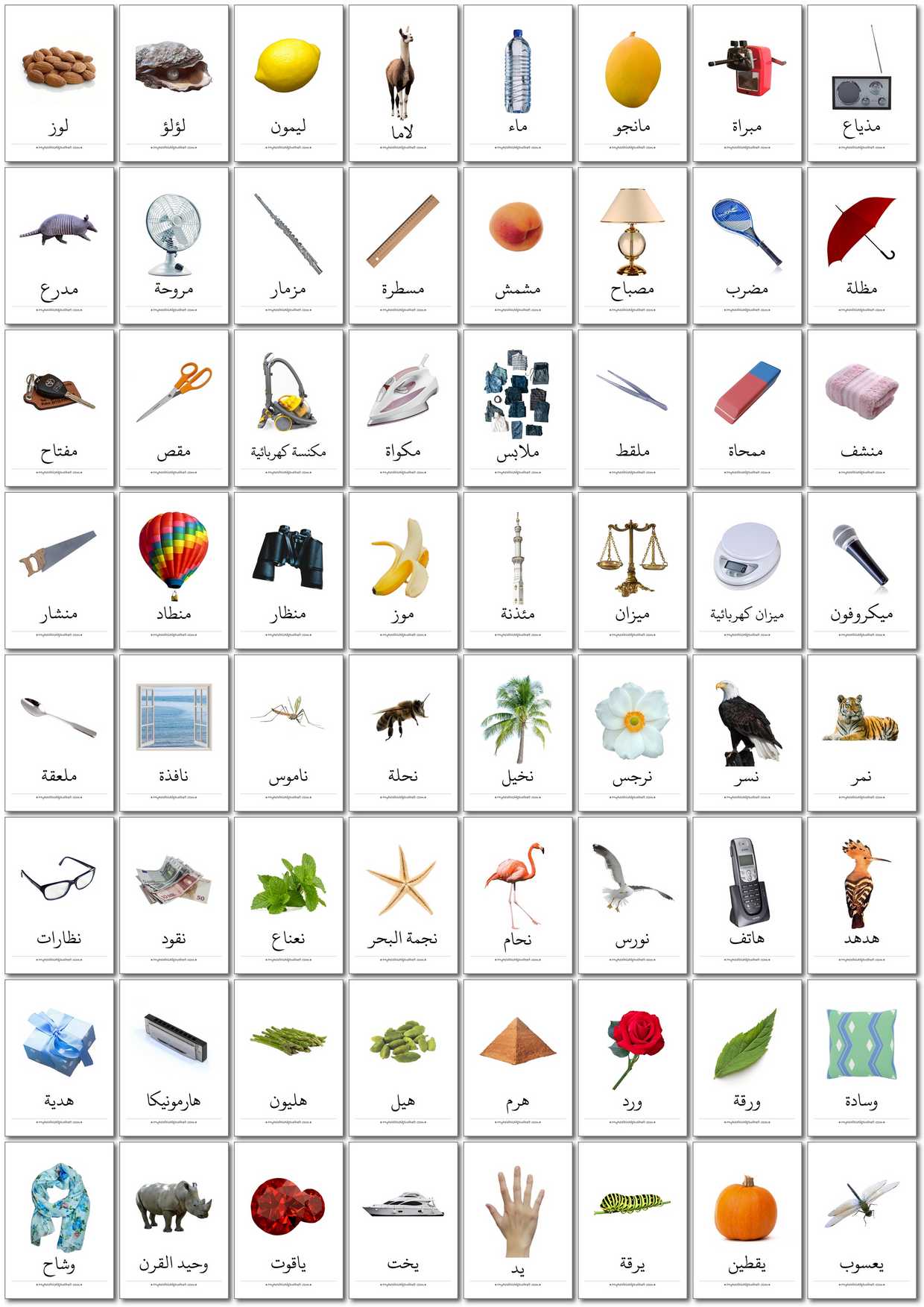 350 Printable Arabic Flashcards -  Digital Download