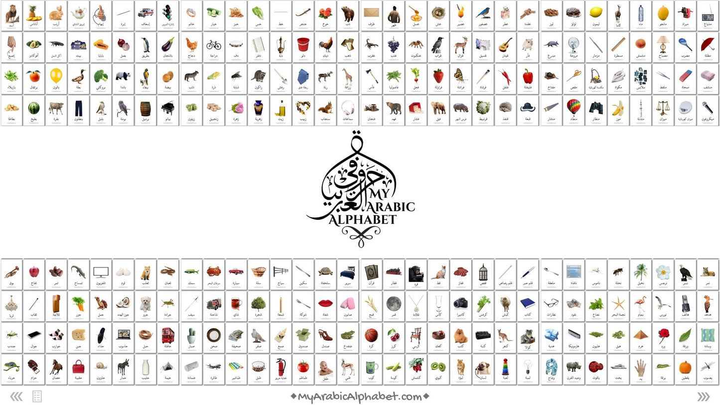 350 Arabic Onscreen Flashcards with Audio - PowerPoint Digital Download