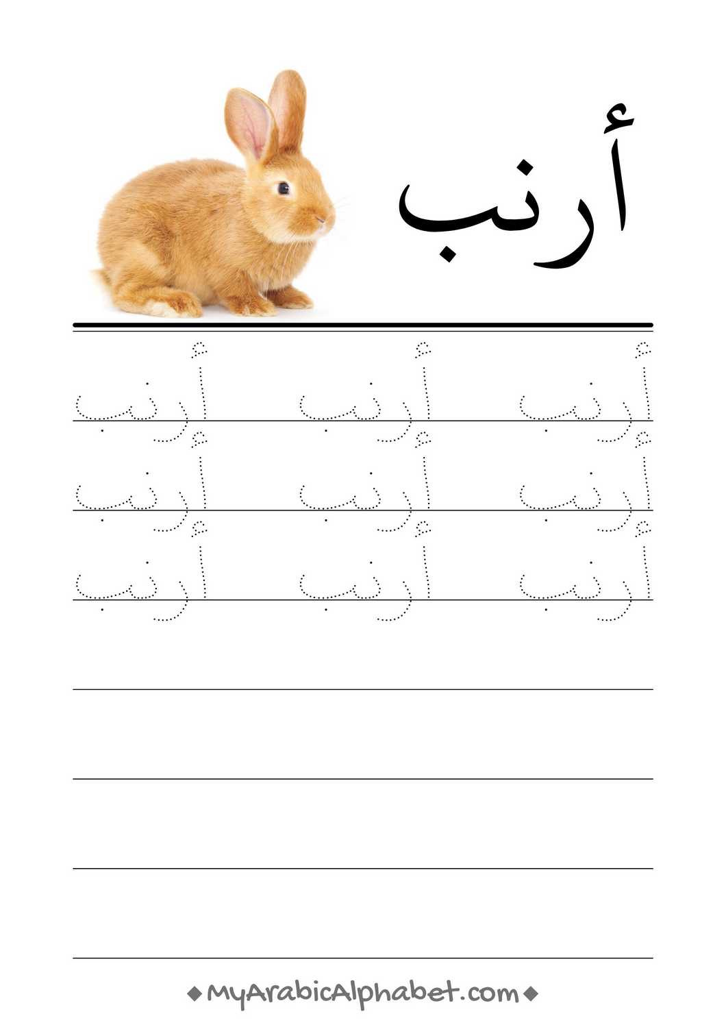 350 Printable Arabic Worksheets - Digital Download