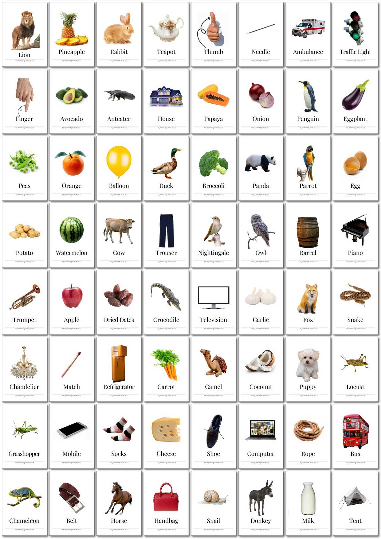 350 Printable English Flashcards - Digital Download