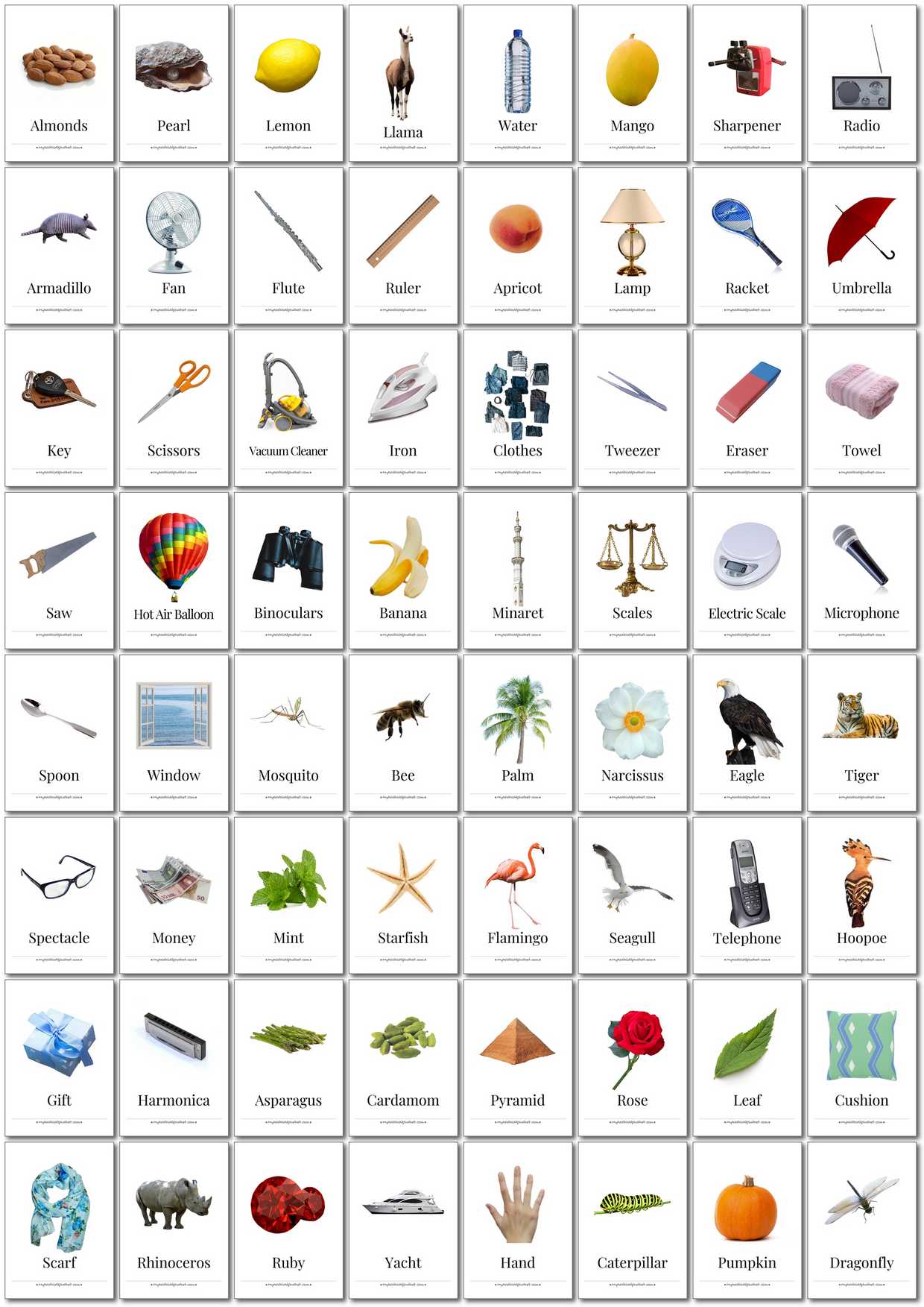 350 Printable English Flashcards - Digital Download