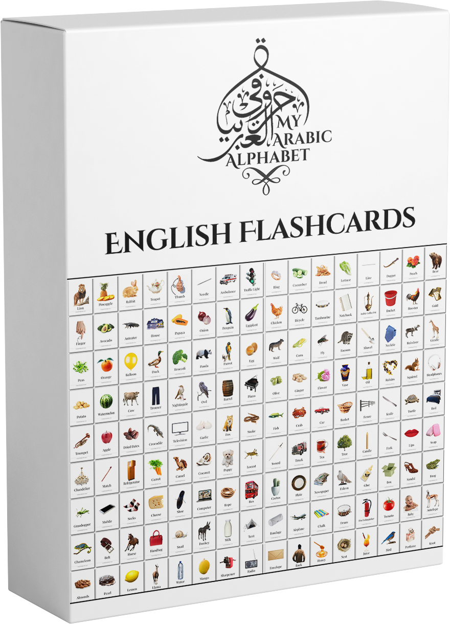 350 Printable English Flashcards Digital Download My Arabic Alphabet